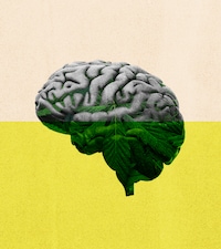7 unexpected takeaways from the newest research on cannabis and brain effects