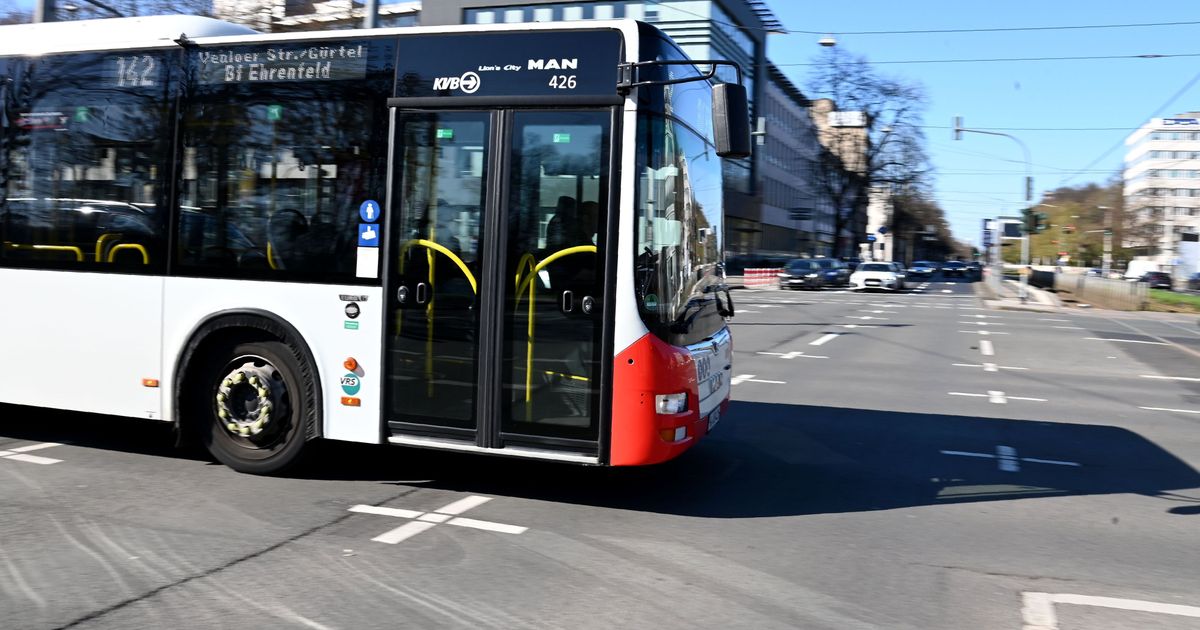 Hitzewelle in Köln: Notlazarett in Deutz eingerichtet - auch KVB-Busse im Einsatz - Kölner Stadt-Anzeiger