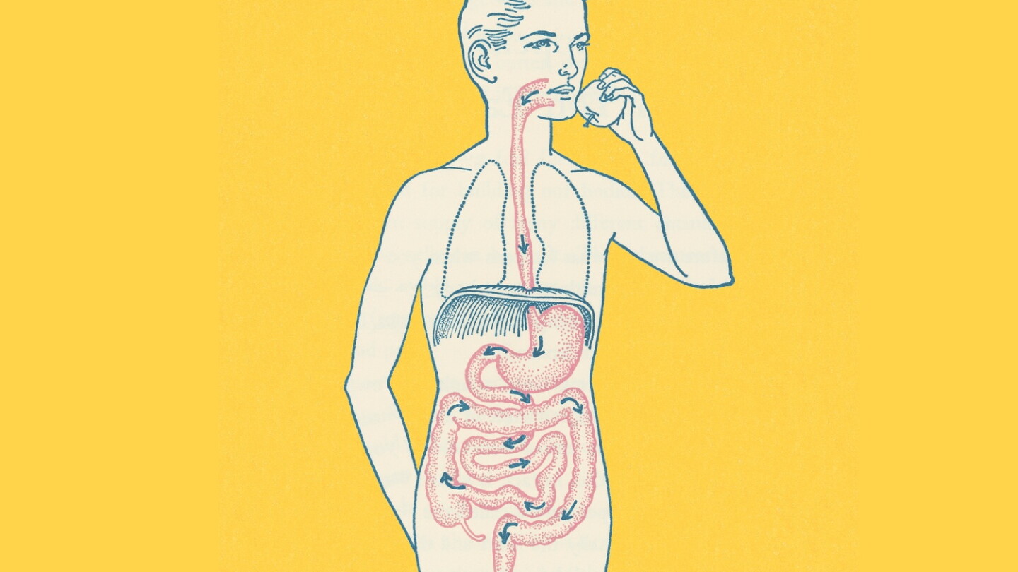 Enveda's exercise pill ENV-308: Appetitsdämpfer und Muskelmassenerhalt nach erfolgreicher Phase-1-Studie